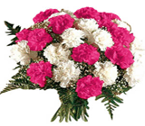 Lovely Pink